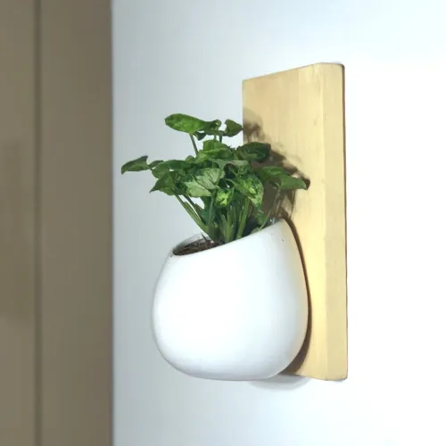Wall Decor Plant Holder / Ornament Holder / Wall Shelf With Pot / Wall