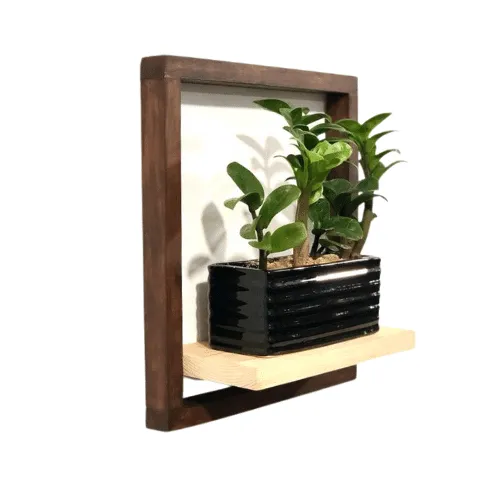 Wall Decor Plant Holder, wooden plant Shelf, Wall Hanging Shelf PW101A